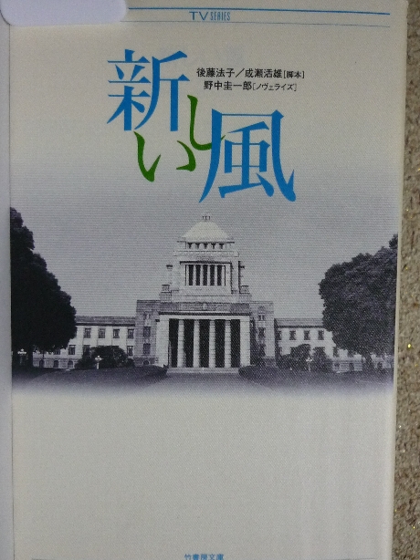 新しい風　野中圭一郎(著)